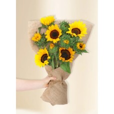 Sunflowers - Sunrise (10)